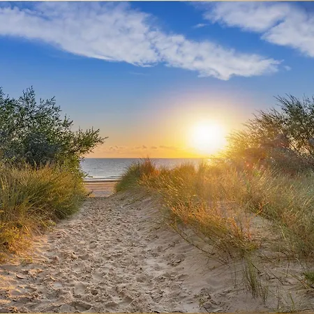 Hart Backbord * Loddin