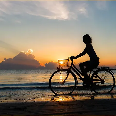 Hart Backbord Loddin