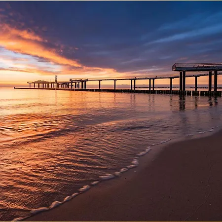 Hart Backbord * Loddin