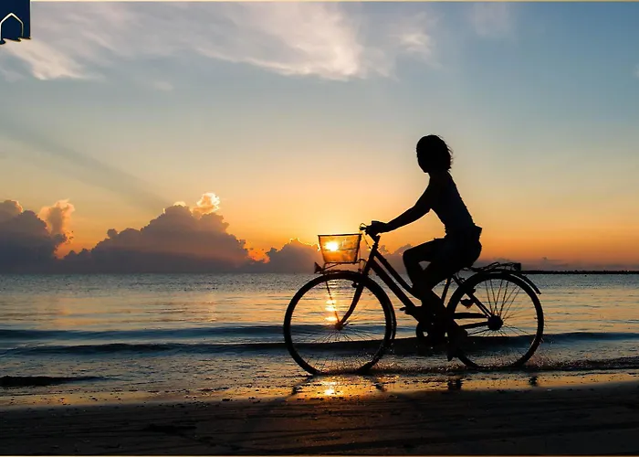 Hart Backbord Loddin